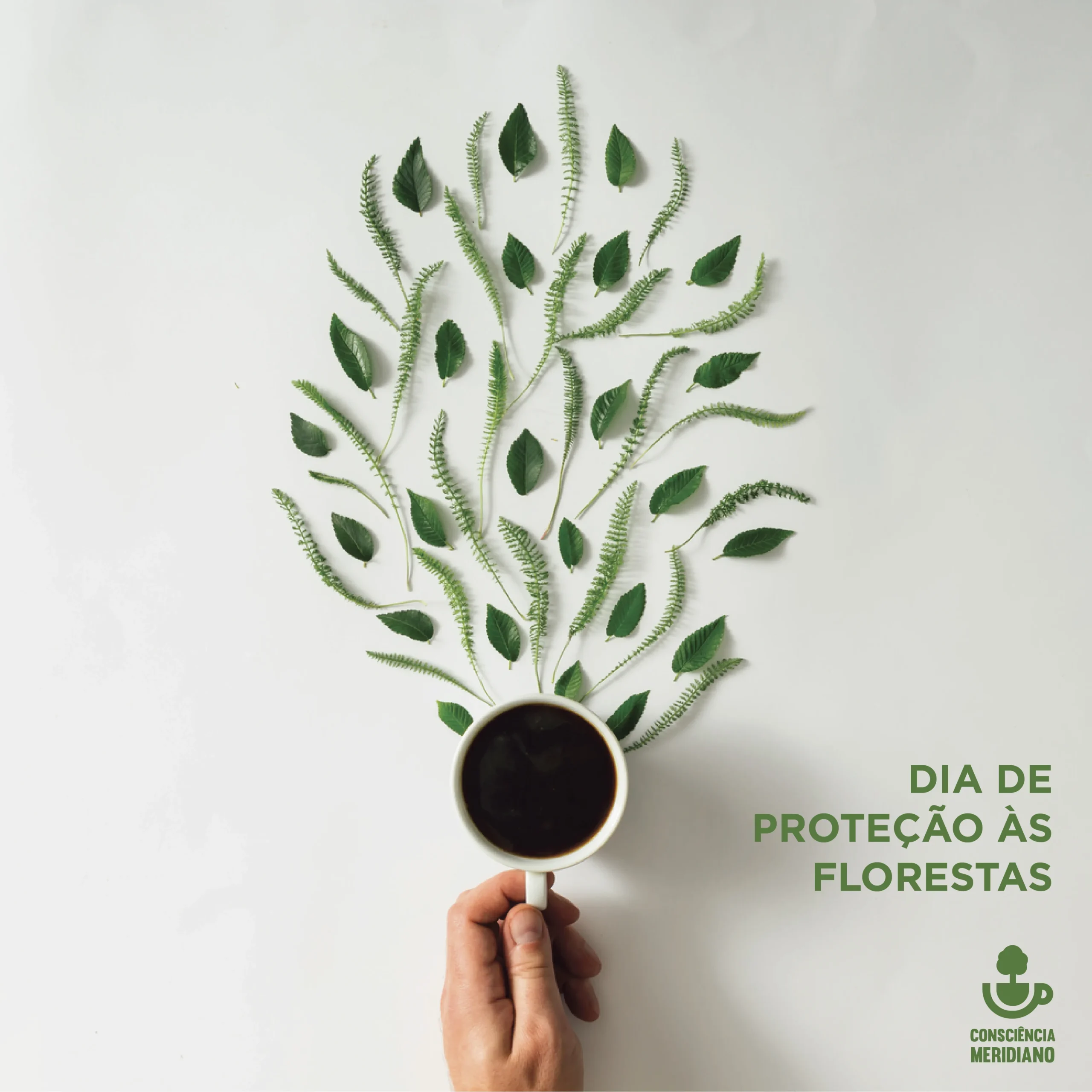 Dia de proteção às florestas